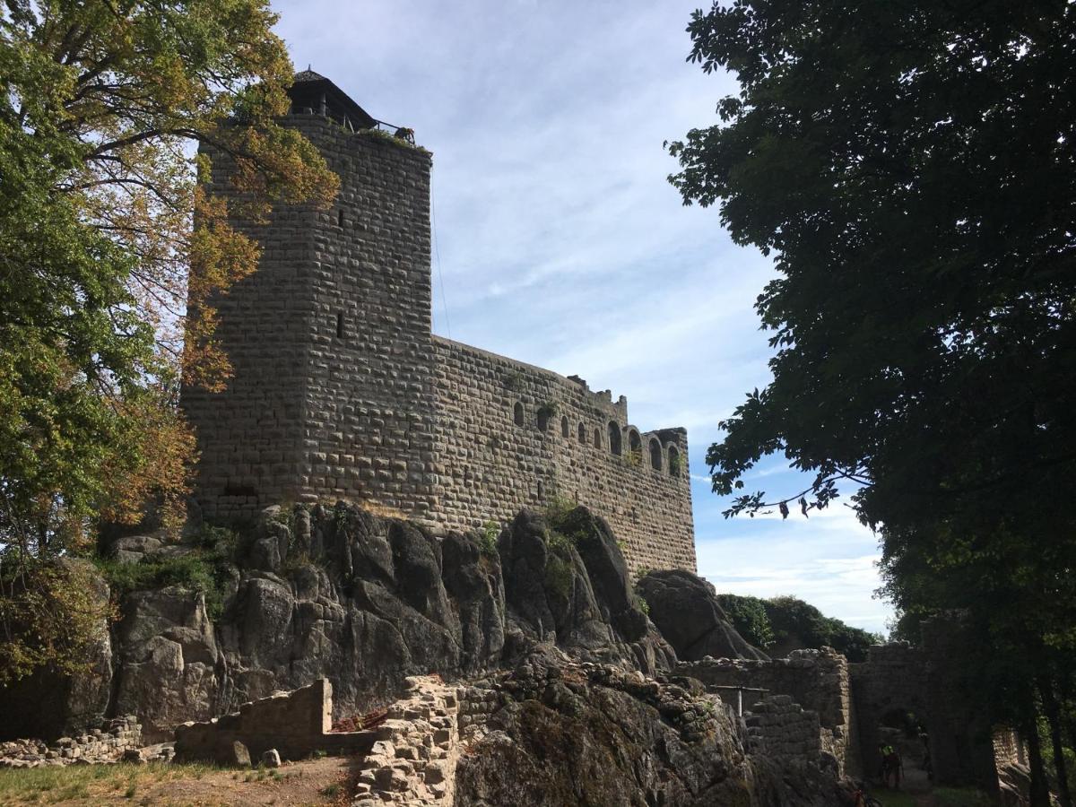 Ferienwohnung Au Nid De Cigogne Zellenberg Exterior foto